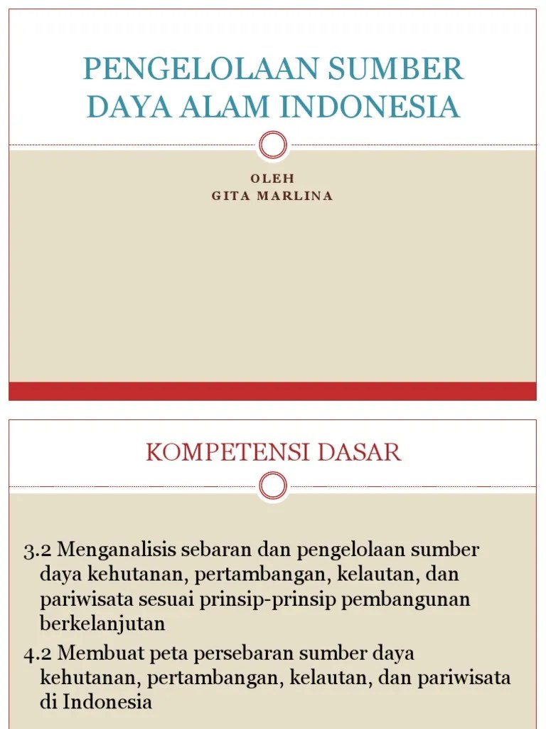 Bab 3 Pengelolaan Sumber Daya Alam Indonesia | PDF