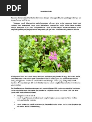 Tanaman Semak | PDF