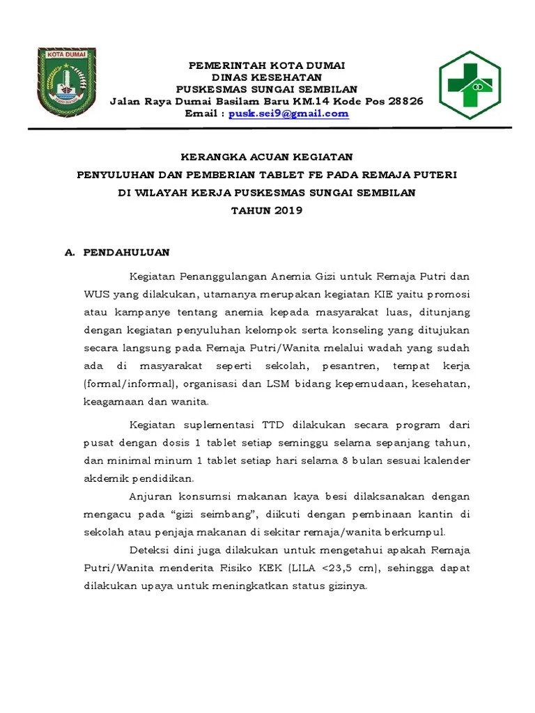 KAK Fe Pada Remaja Putri | PDF