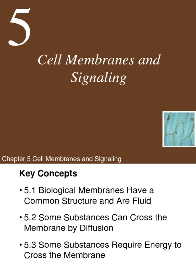 Ch05 Lecture-Cell Membranes And Signaling | Download Free PDF ...