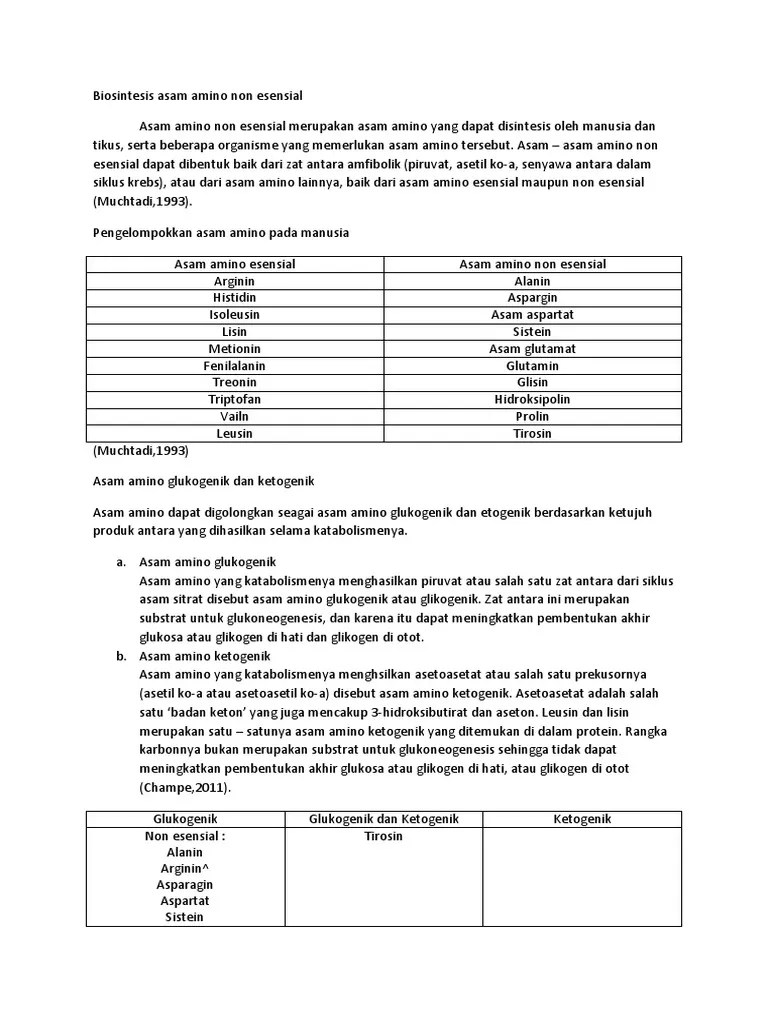 Untuk memenuhinya tidak perlu mengonsumsi makanan tertentu. Biosintesis Asam Amino Non Esensial Pdf