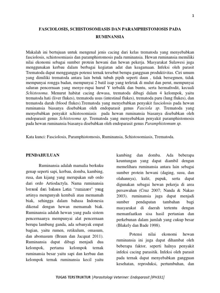 3232 - Fasciolosis, Schistosomiasis Dan Paramphistomosis Pada Ruminansia |  PDF