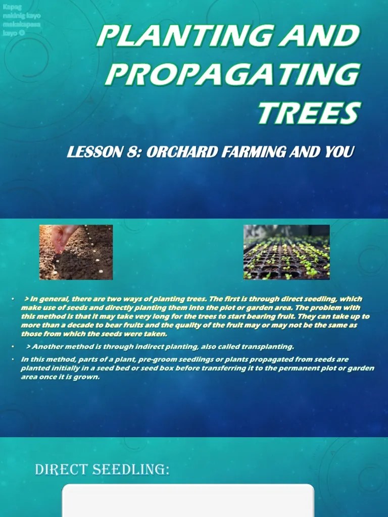 Planting And Propagating Trees | PDF
