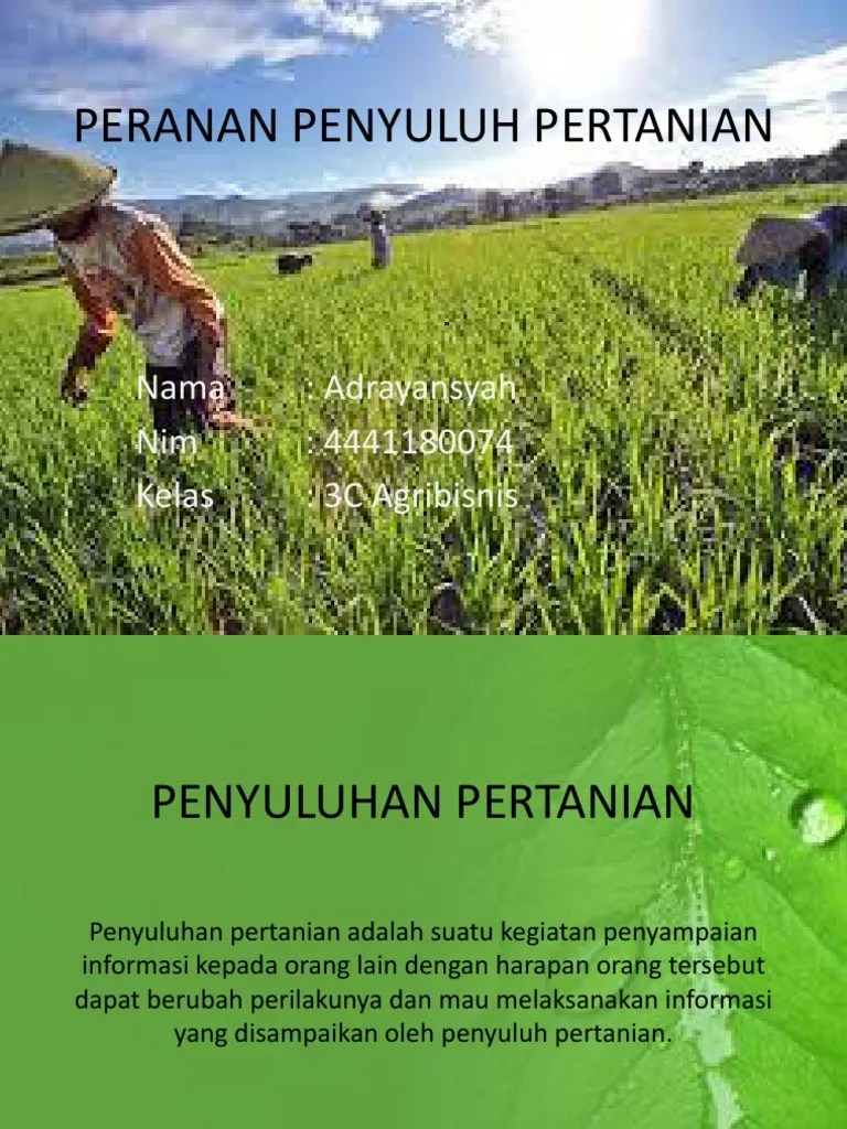 Peran Penyuluh | PDF