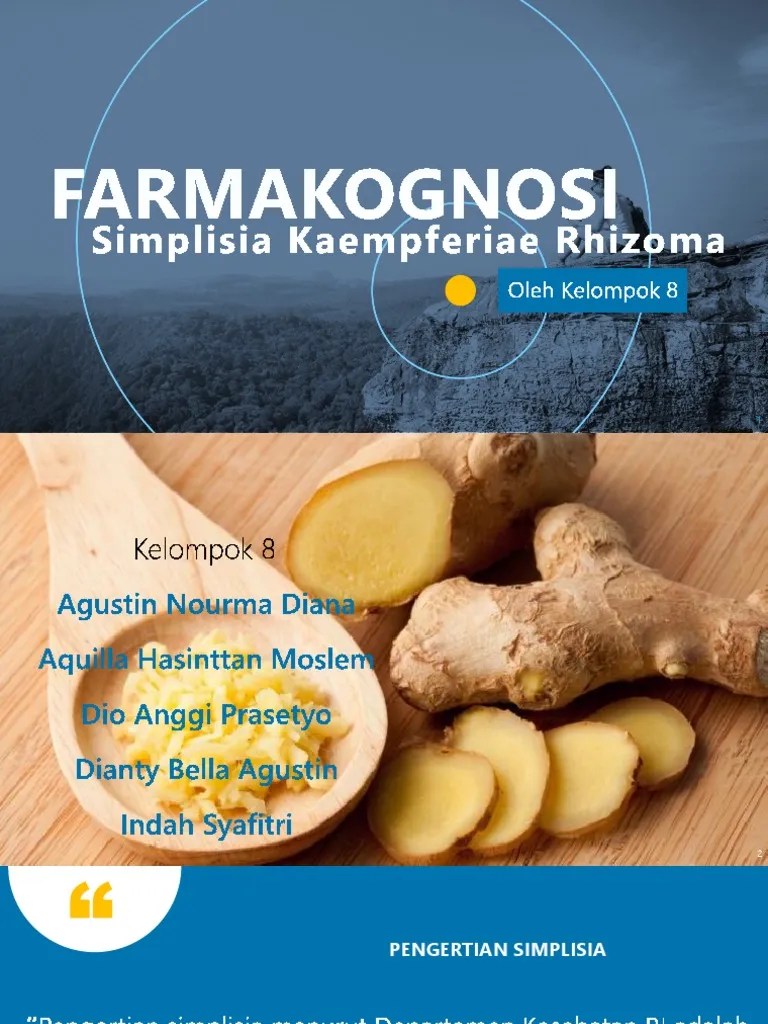 Makalah Simplisia Kaempferiae Rhizoma | PDF