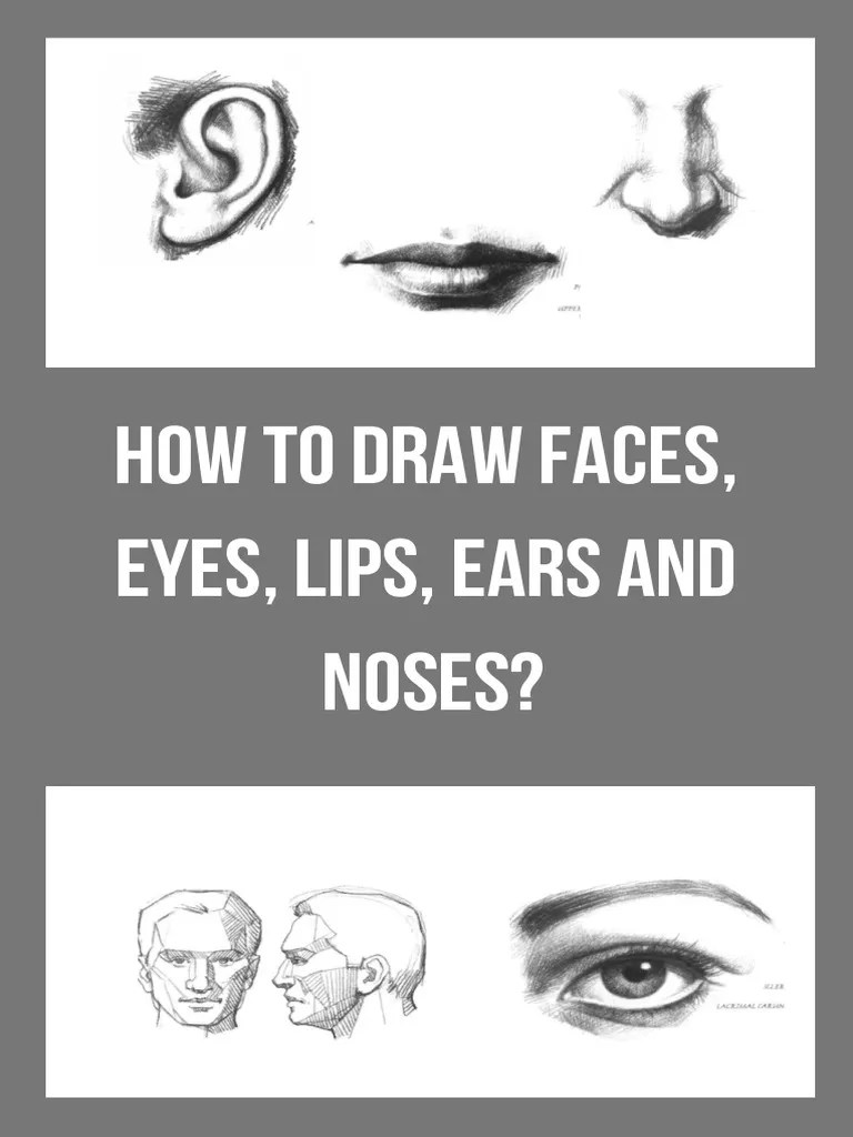 How To Draw Faces Eyes Lips Ears And Noses | PDF