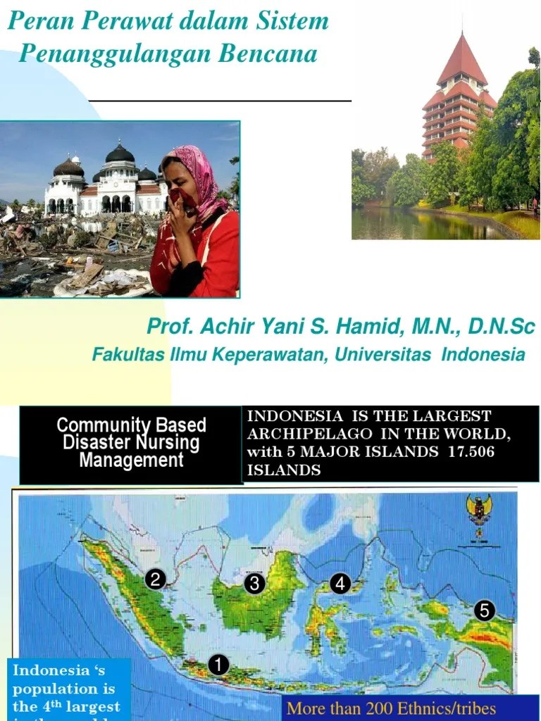 Peran Perawat Dalam Sistem Penanggulangan Bencana | PDF | Natural Disasters | Emergency