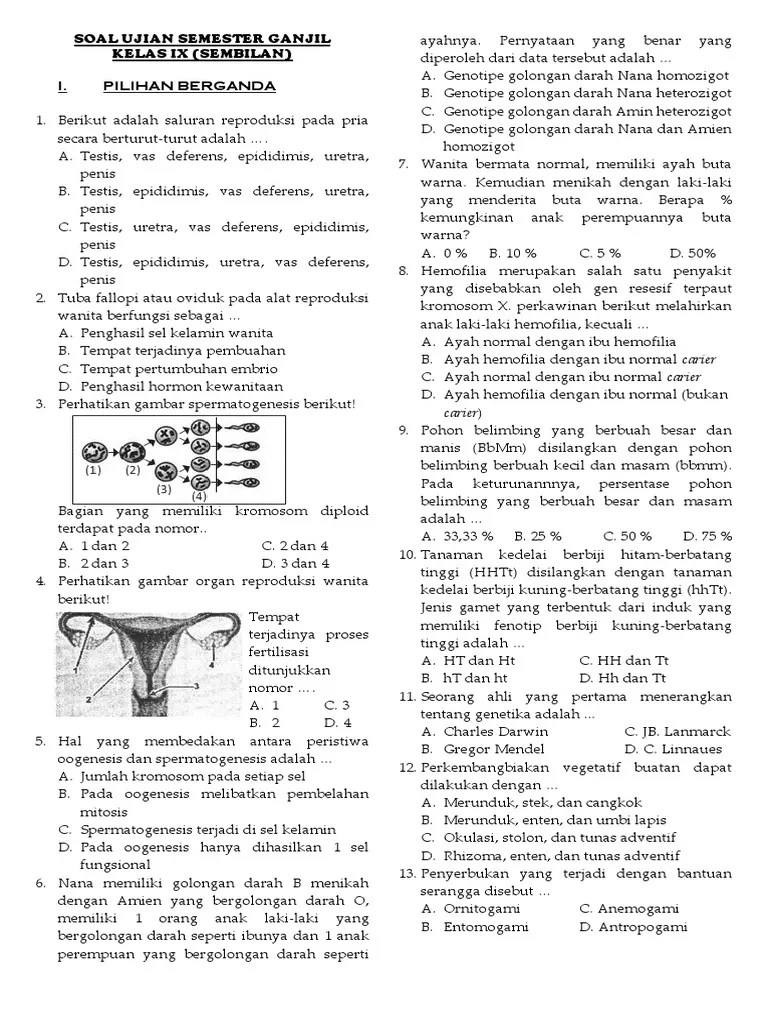 Perbedaan golongan darah ini terutama . Soal Uas Ipa Kelas 9 Smp Pdf