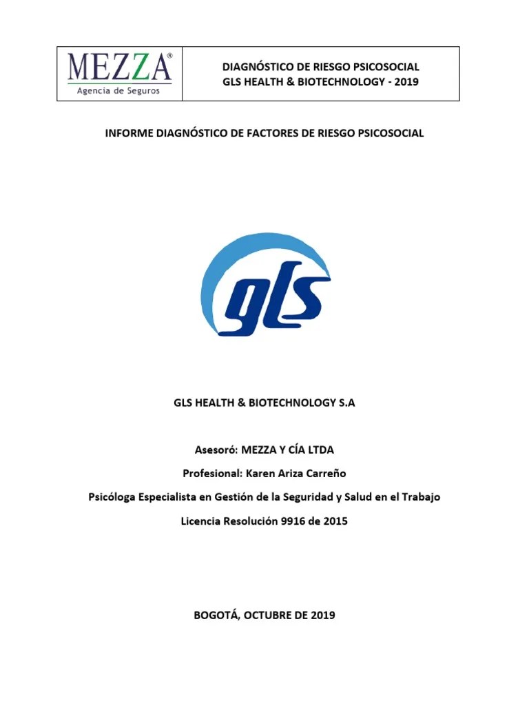 Evaluación Riesgo Psicosocial GLS 2019 | PDF | Seguridad Y Salud ...