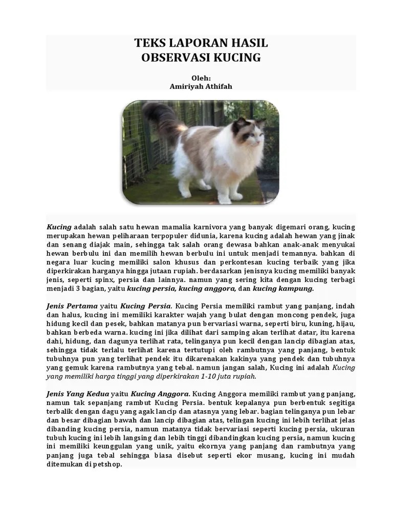 Contoh Teks Laporan Hasil Observasi Tentang Kucing Beserta Strukturnya Laporan Hasil Observasi Tentang Kucing Docx Tugas Bahasa Indonesia Laporan Hasil Observasi Mengenai Kucing Oleh Kelompok 1 Yang Beranggotakan 1 Albert Course Hero.