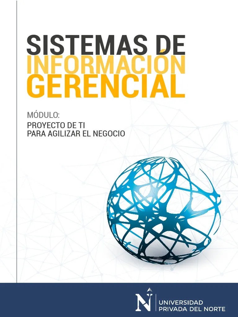 Sistemas De Informacion Gerencial | PDF | Jabón | Tecnología De ...