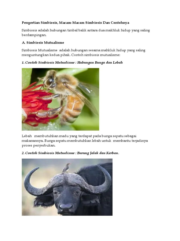 Pengertian Simbiosis | PDF