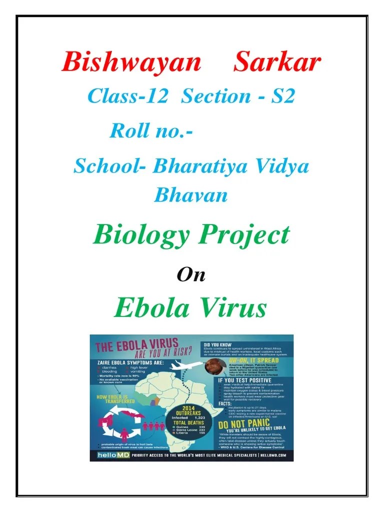 Bio Project Class 12 | PDF | Ebola Virus Disease | Virus