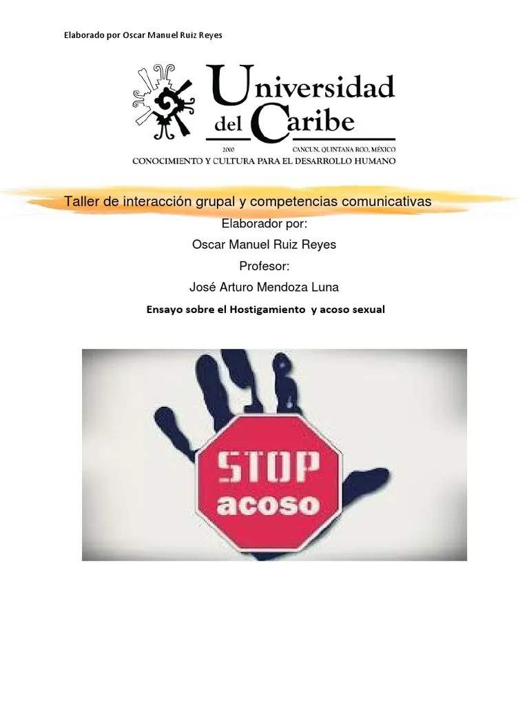 Ensayo Hostigamiento Y Acoso Sexual | PDF | Acoso | La Violencia Contra Las Mujeres