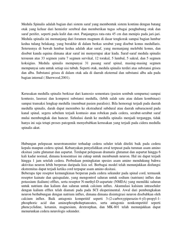 Anatomi Medula Spinalis | PDF