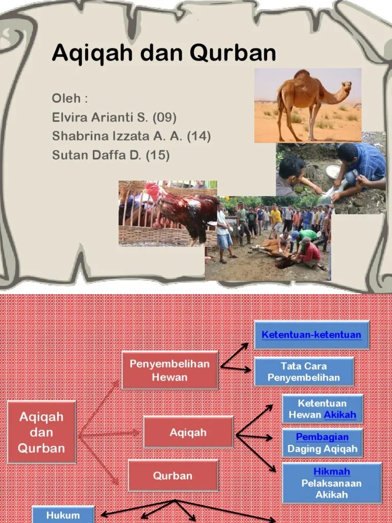 Aqiqah Dan Qurban | PDF