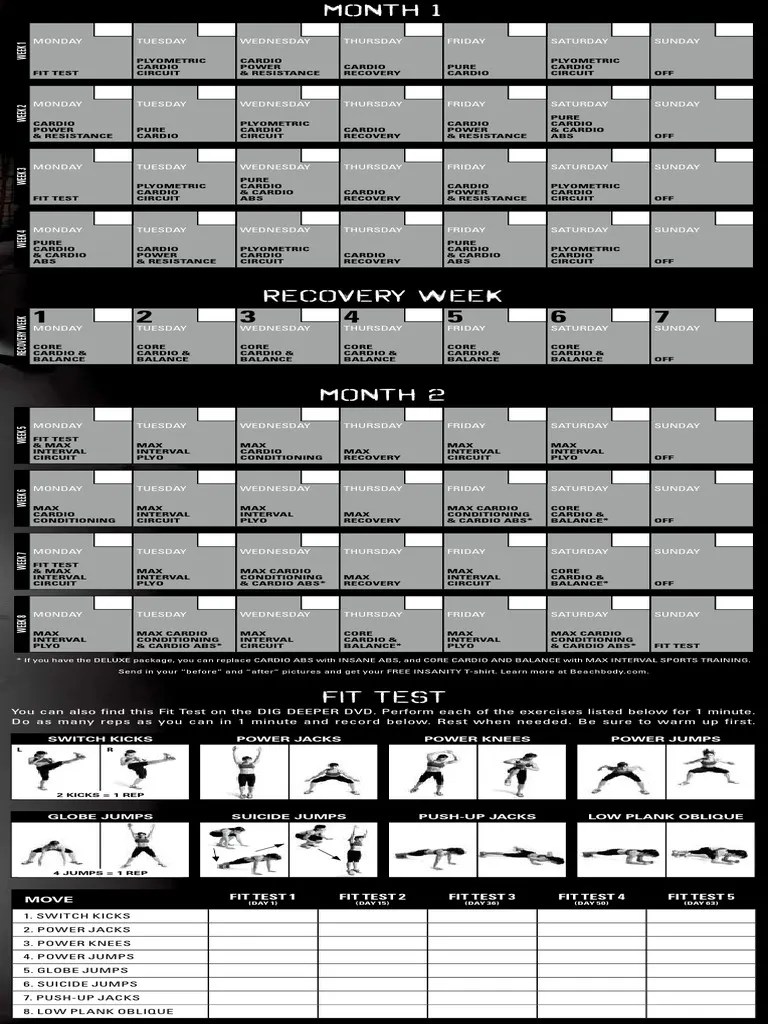 insanity printable schedule pdf business sports