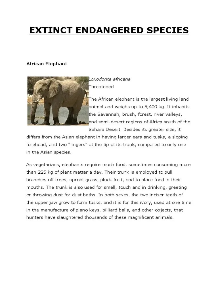 Extinct Endangered Species | PDF | Species | Elephant