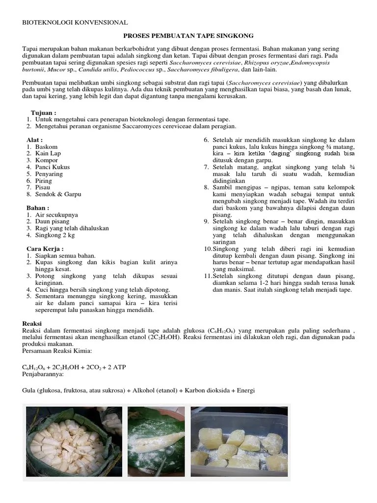 Bioteknologi Konvensional | PDF