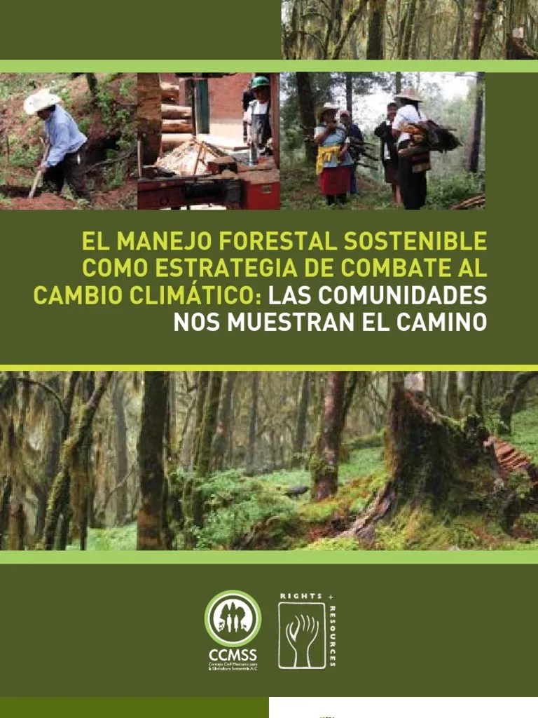 El Manejo Forestal Sostenible Como Estrategia De Combate Al Cambio Climático: Las Comunidades ...