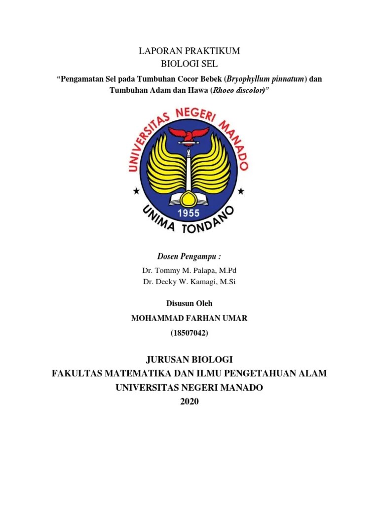 Gambar 1.5 cara penggunaan mikroskop. Laporan Praktikum Pdf