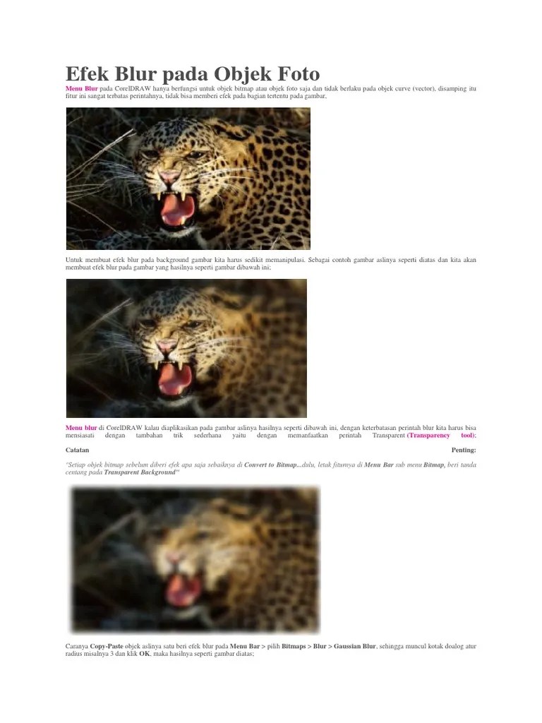Efek Blur Pada Objek Foto
