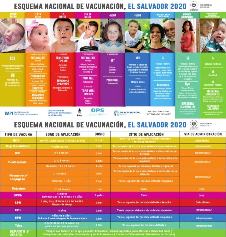 Esquema De Vacunacion 2020 Frente DEC | PDF | Vacunas | Enfermedades Animales