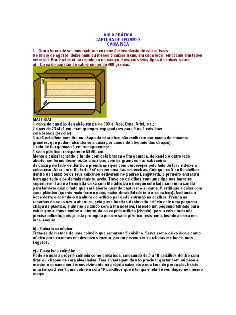 AULA PRÁTICA-captura De Abelhas Caixa Isca | Download Grátis PDF ...