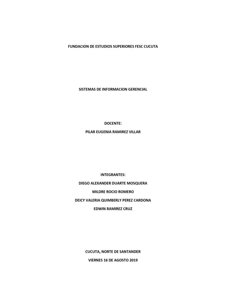 Sistemas De Informacion Gerencial | PDF | Sistema De Informacion | Internet