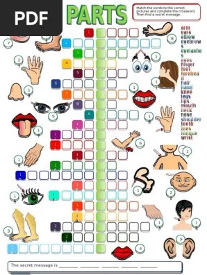 body parts crossword games 12656 pdf