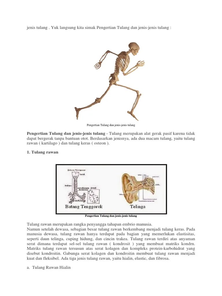 Jenis Tulang | PDF