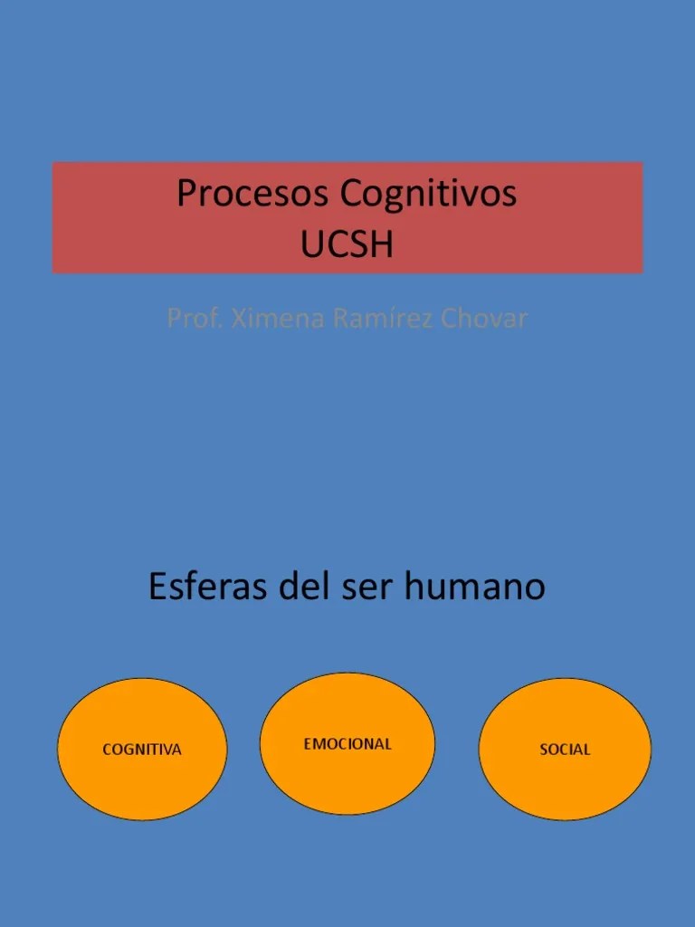 Procesos Cognitivos | PDF | Memoria | Percepción