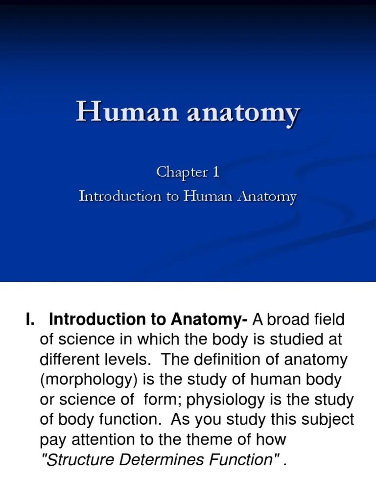 Human Anatomy Chapter 1 Introduction To Human Anatomy | PDF