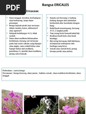 Takstm Tinggi Bu Syam | PDF