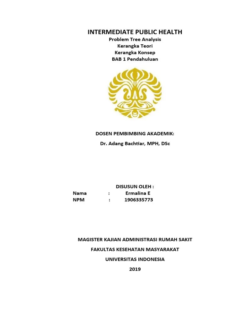 Tugas IPH - Ermalina E - NPM 1906335773 - Problem Tree - Kerangka Teori -  Kerangka Konsep - Pendahuluan | PDF