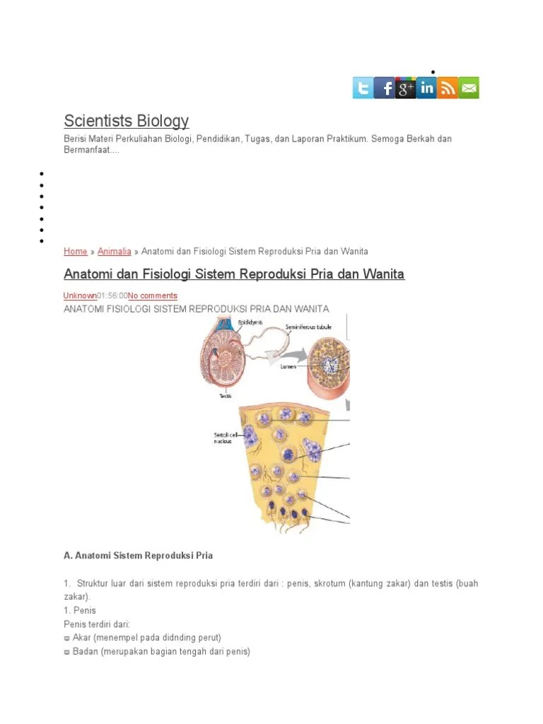 Anatomi Fisiologi Sistem Reproduksi Pada Manusia | PDF