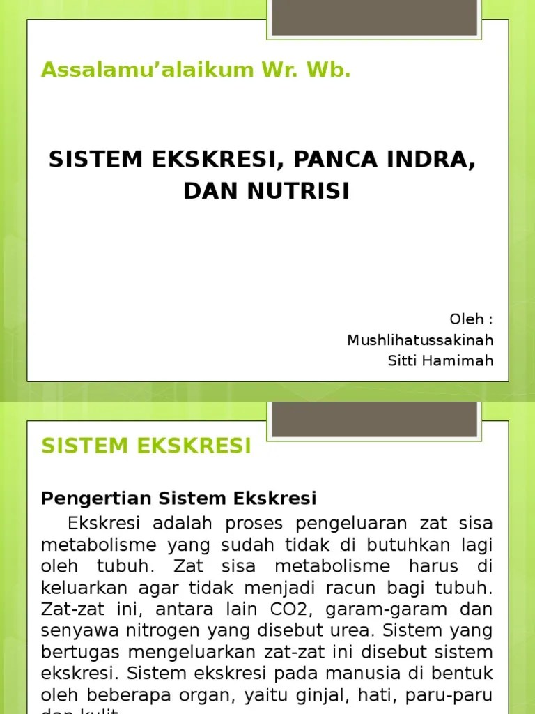 Sistem Ekskresi, Panca Indra Dan Nutrisi | PDF