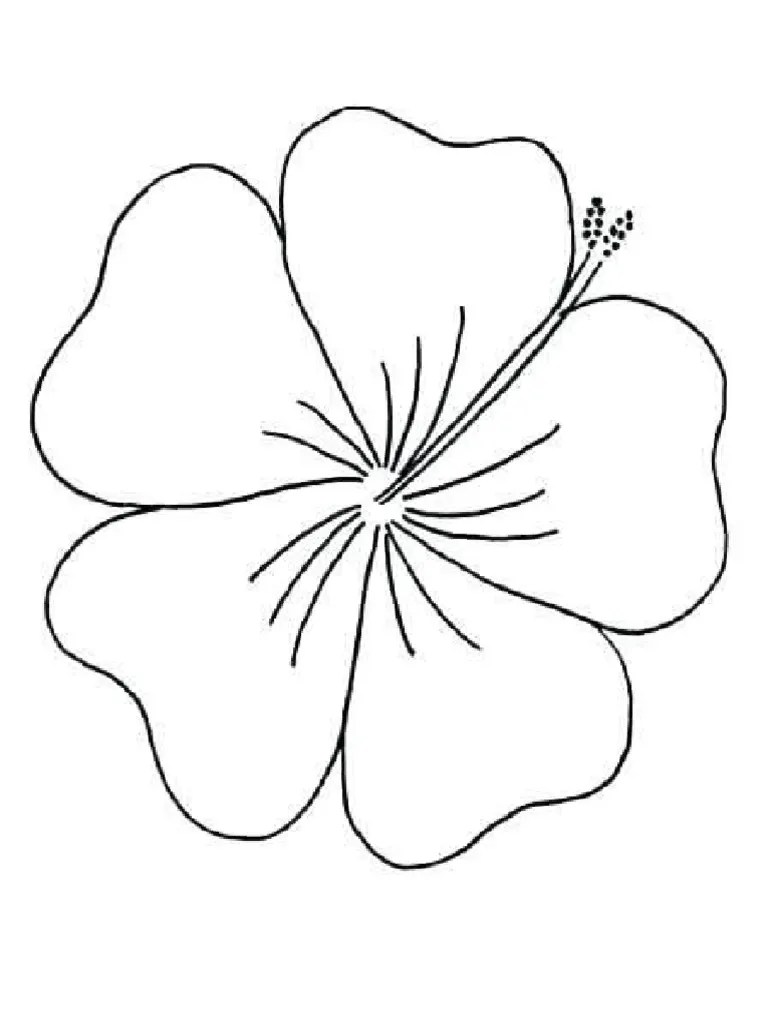 Kertas lukisan mewarna hari raya aidilfitri bernilai pertandingan . Bunga Raya Syiling Pdf