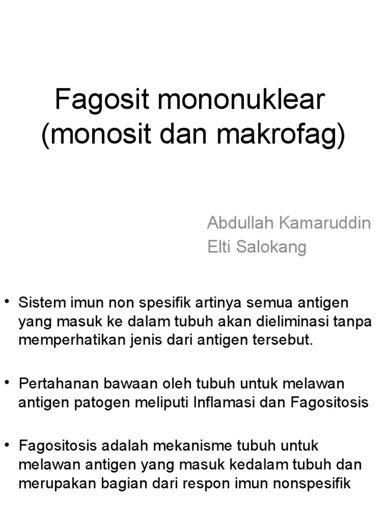 1 Fagosit Mononuklear | PDF