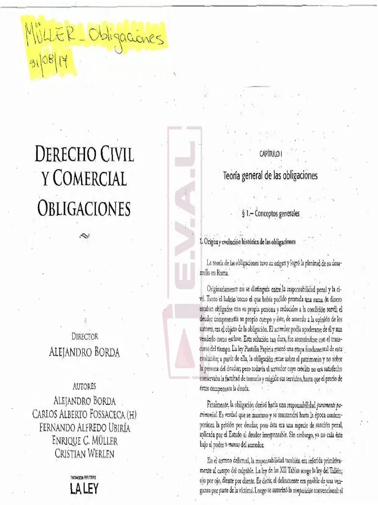 Teoria Gral De Las Obligaciones - Alejandro Borda | PDF