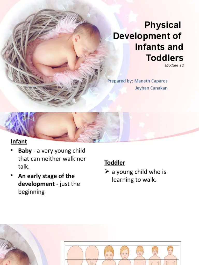 Physical Development Of Infants And Toddlers | PDF | Infants | Brain