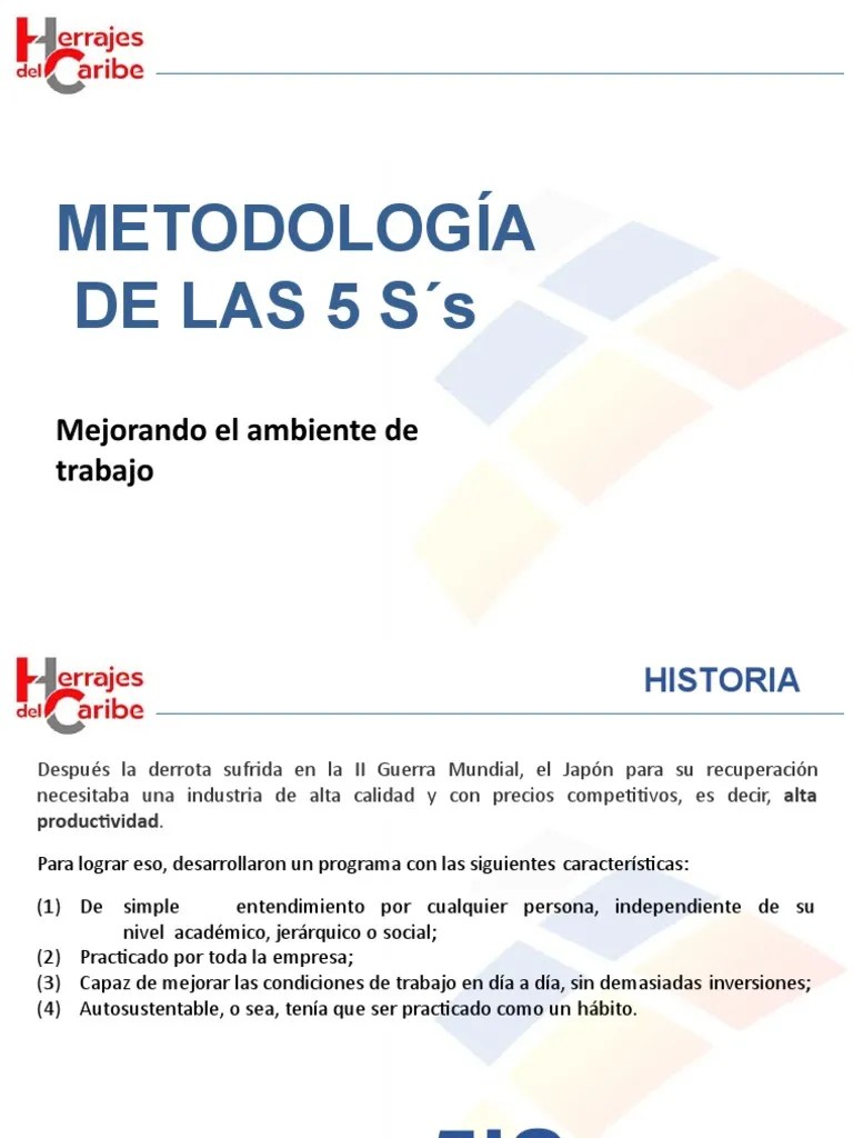 Las 5S Como Herramienta De Mejora Continua | PDF | Business | Science