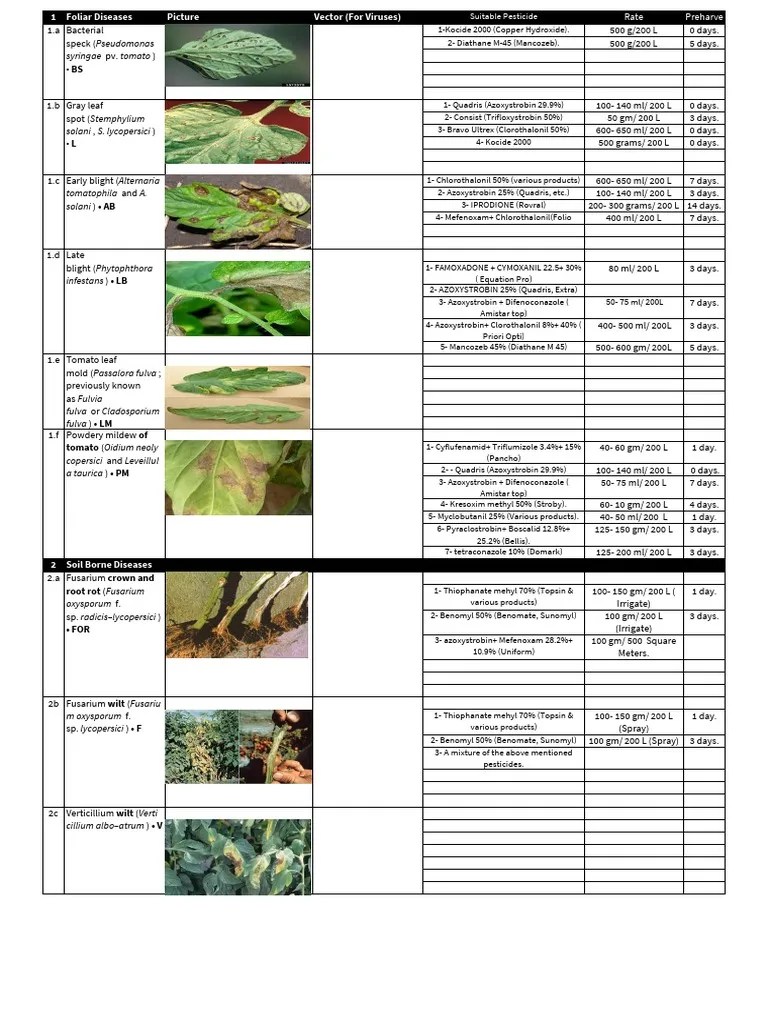 Tomato Pests Diseases | PDF | Plants | Organisms