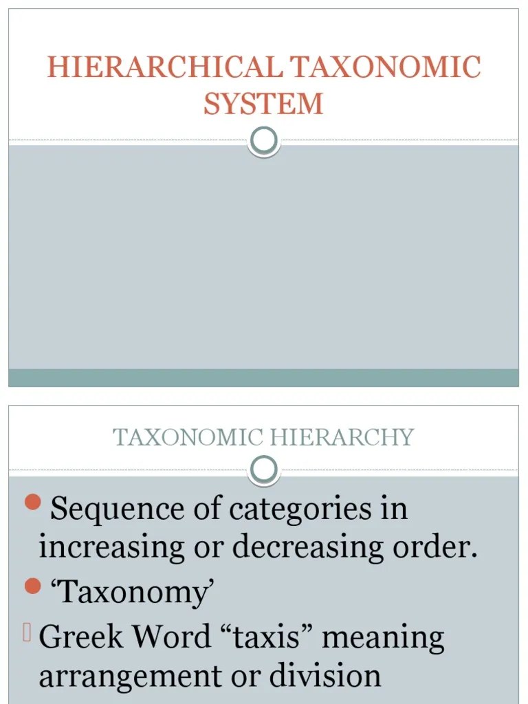 Hierarchical Taxonomic System | PDF | Taxonomy (Biology) | Biological Classification