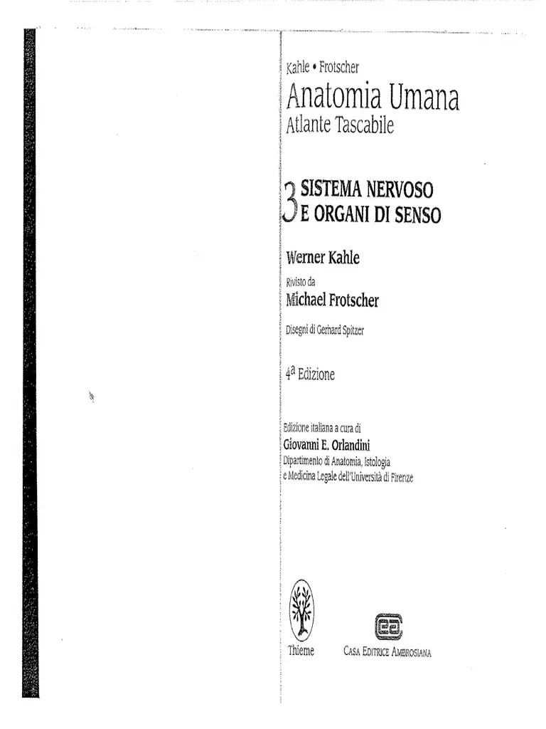 Anatomia 3 PDF | PDF