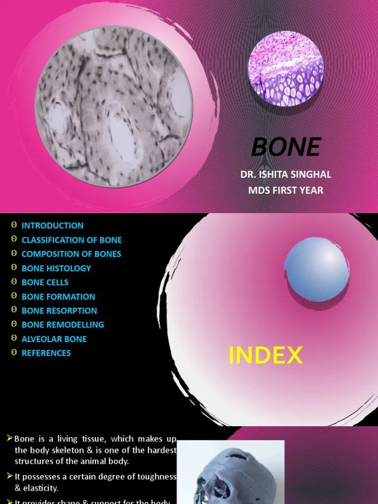 Dr. Ishita Singhal Mds First Year | PDF | Osteoblast | Bone