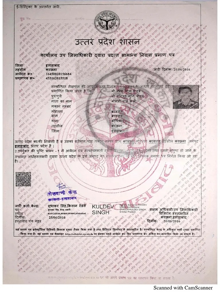 Domicile Certificate | PDF