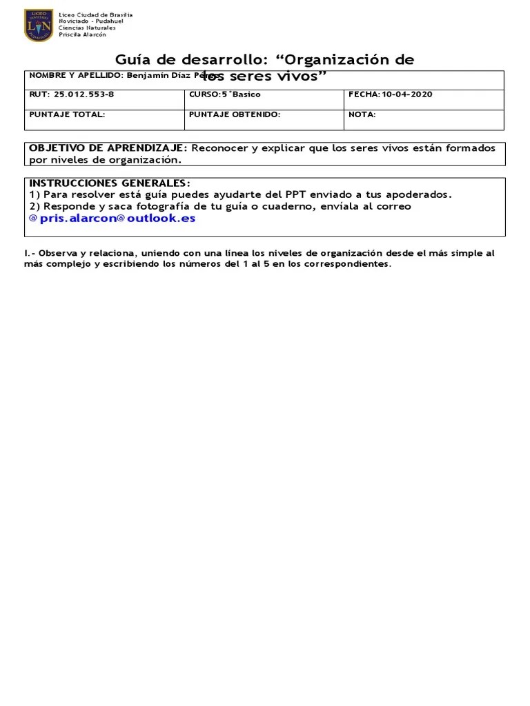 5° Organización De Los Seres Vivos | PDF | Tejido (biología) | Organismos