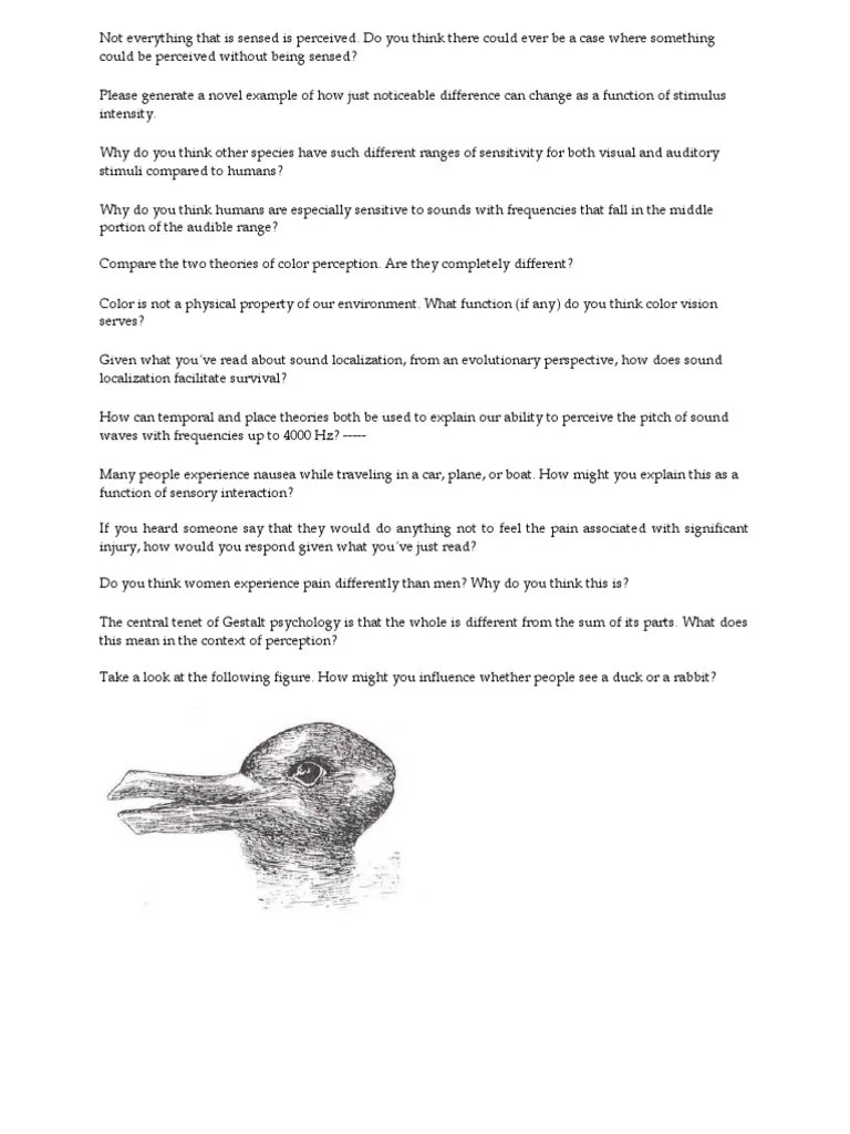 Intrebari S3.docx | Perception | Sound