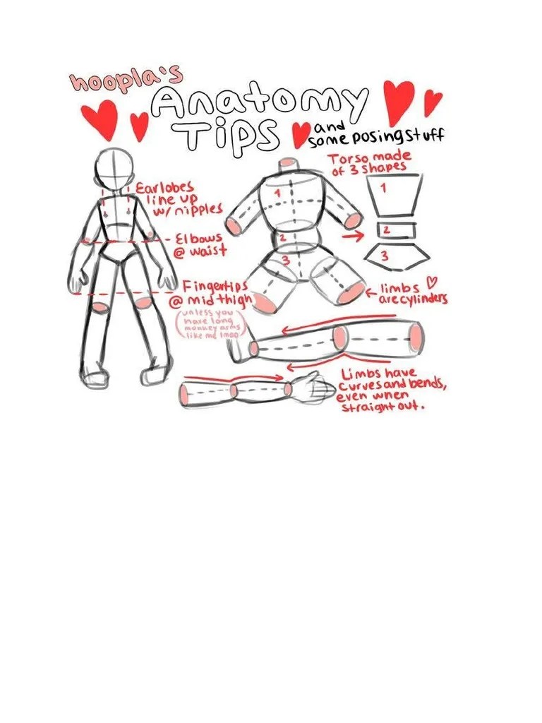 Anatomy Tips